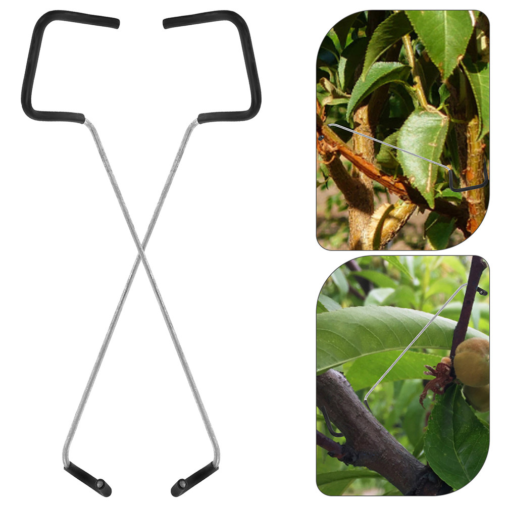 Bonsai Gardener - Bonsai Branch Trunk Trainer 10pcs Fruit