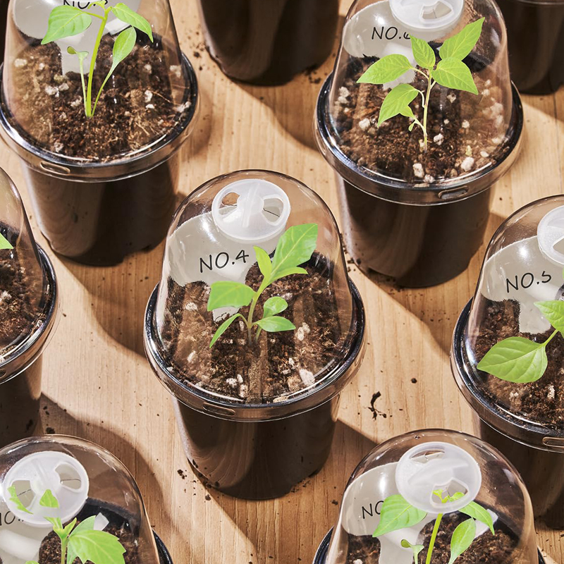 Bonsai Garden Nursery - Nursery Pots Flowerpot Gardening Seedlings Home