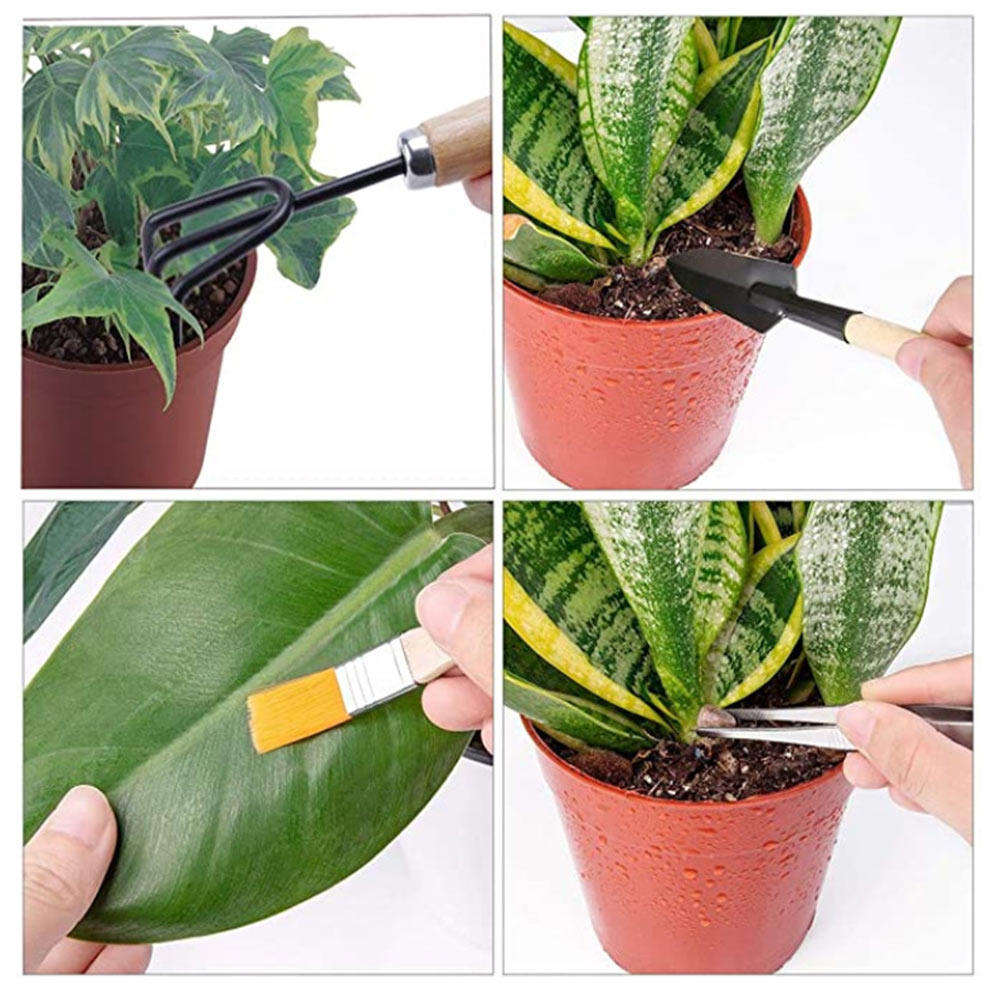 Bonsai Garden Grow Kit - 10Pcs Gardening Tools Set with Wooden