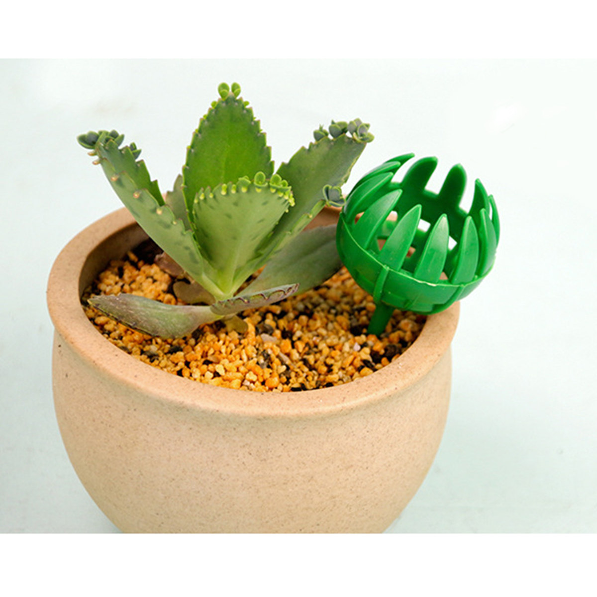 Bonsai Gardener - 50Pcs Premium Plastic Fertilizer Baskets for