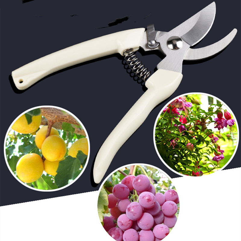 Bonsai Gardener - Pruner Orchard and The Garden Hand