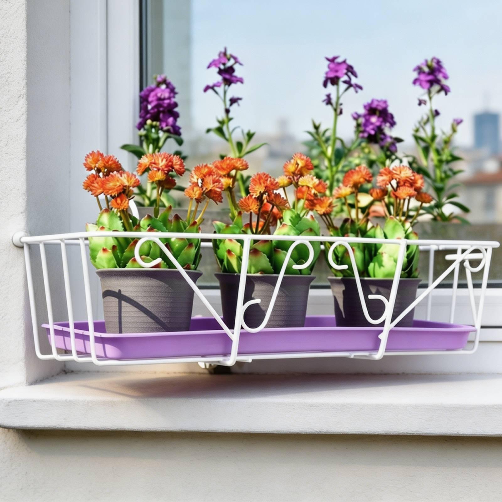 Plant Drain Saucers Multipurpo - Drip Tray Saucer recensione e prezzo