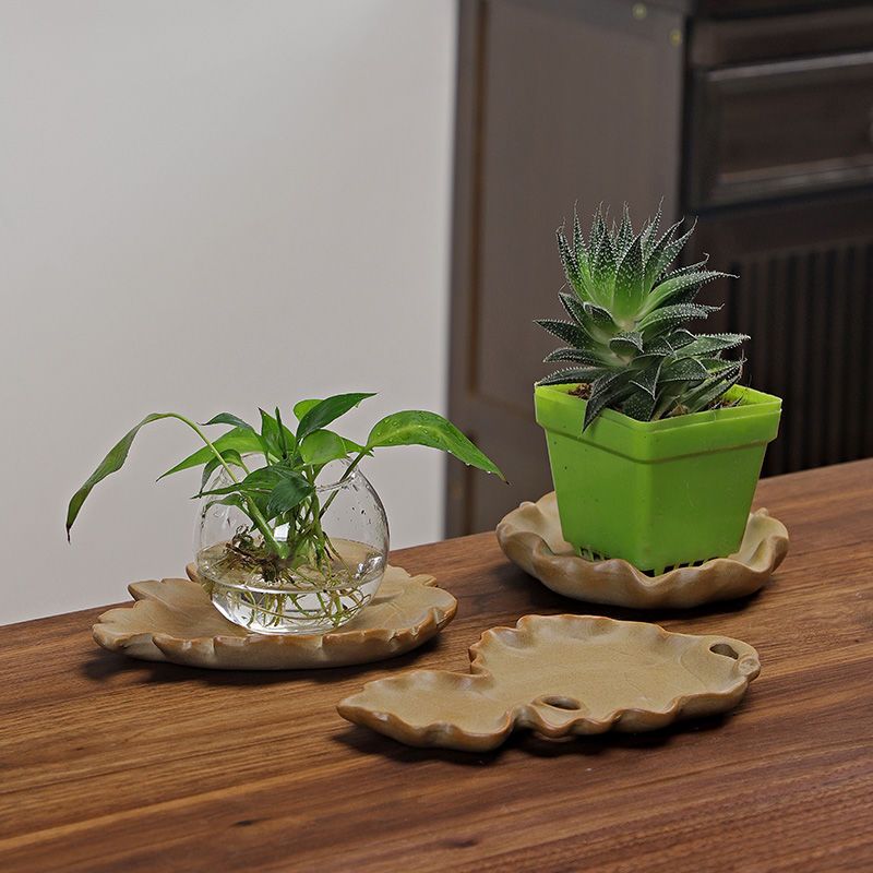 Brazilian Wood Hydroponic Plan - Drip Tray Saucer recensione e prezzo