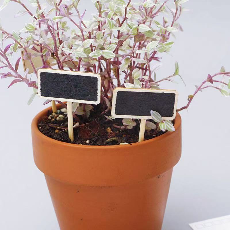 8Pcs Mini Blackboard Bonsai Ta - Landscape Bonsai Garden recensione e prezzo