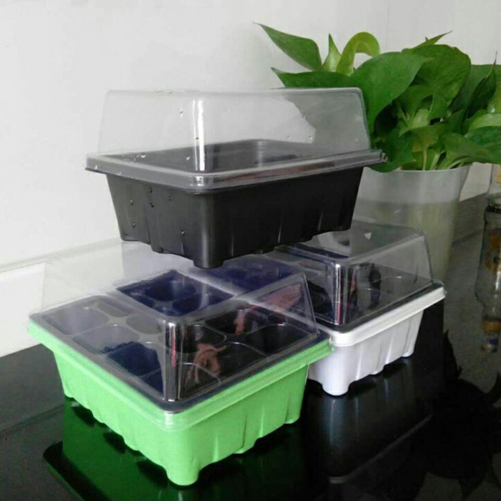 Seed Starter Kit 12 Cells Seed - Bonsai Garden Grow Kit recensione e prezzo