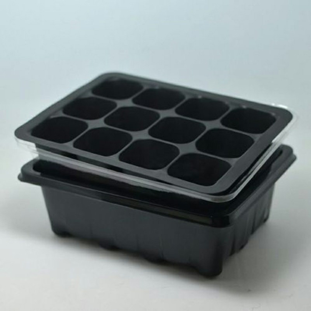 Seed Starter Kit 12 Cells Seed - Bonsai Garden Grow Kit recensione e prezzo
