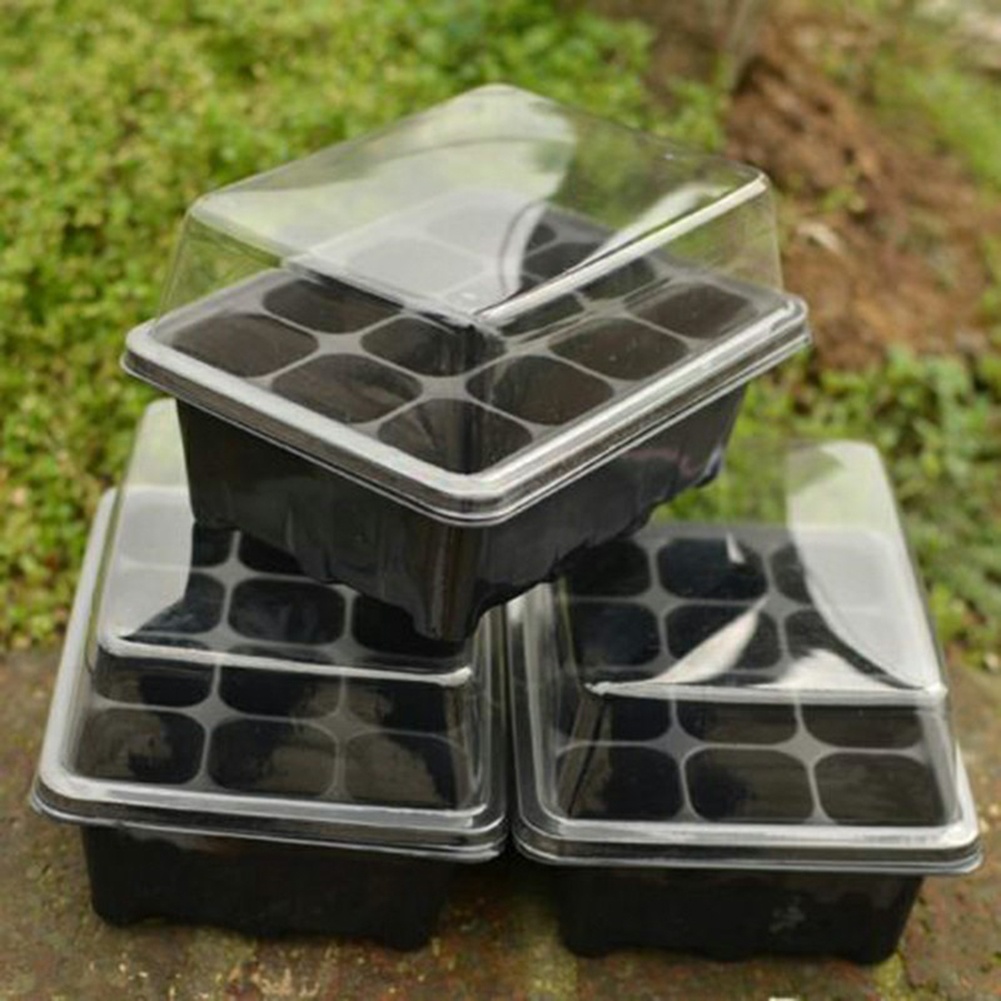 Seed Starter Kit 12 Cells Seed - Bonsai Garden Grow Kit recensione e prezzo