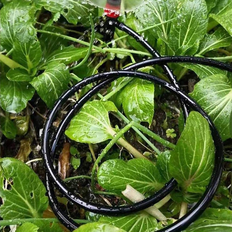 Garden Watering 4/7mm Hose PVC - Bonsai Garden Youtube recensione e prezzo