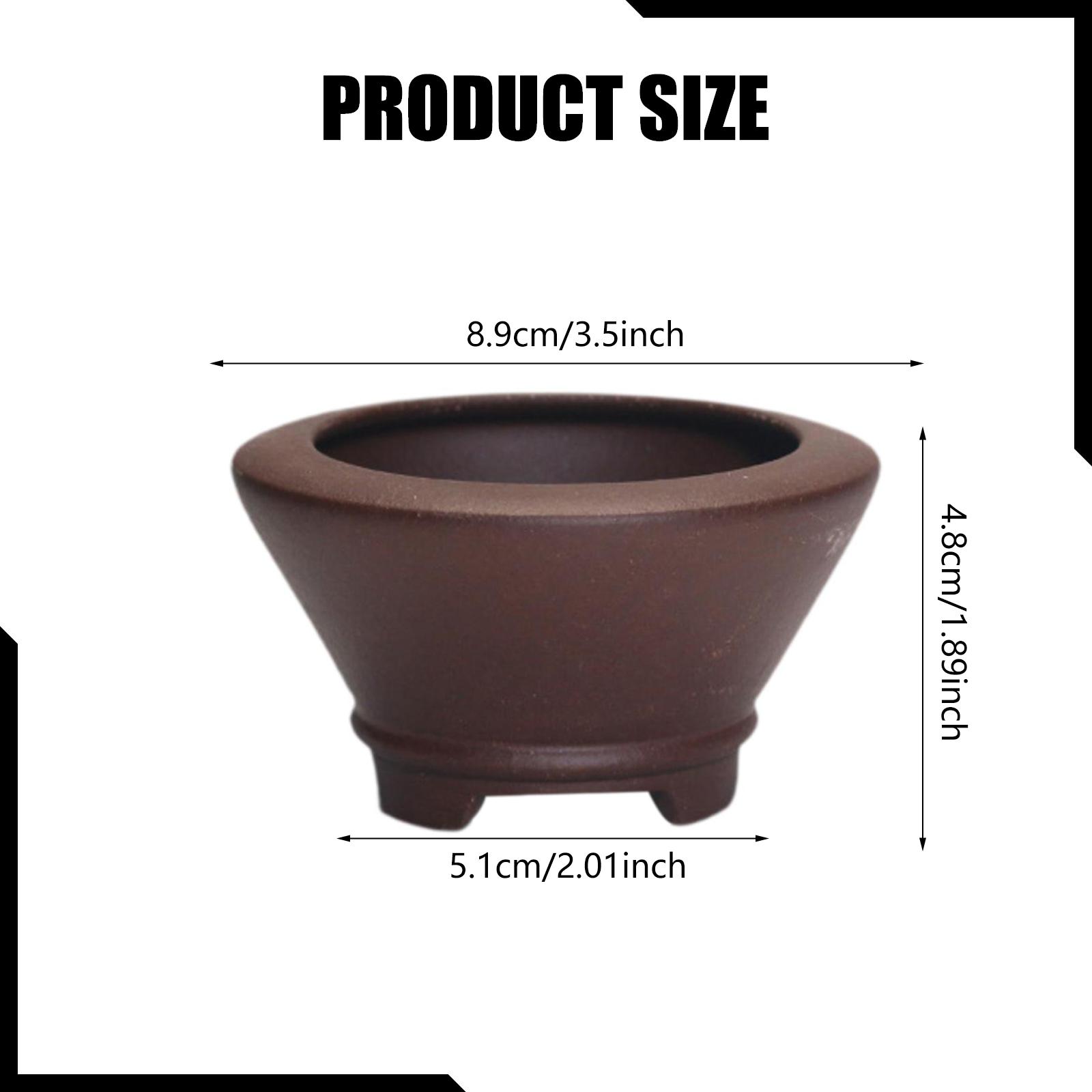 Lightweight Purple Clay Bonsai - Bonsai Garden Nursery recensione e prezzo