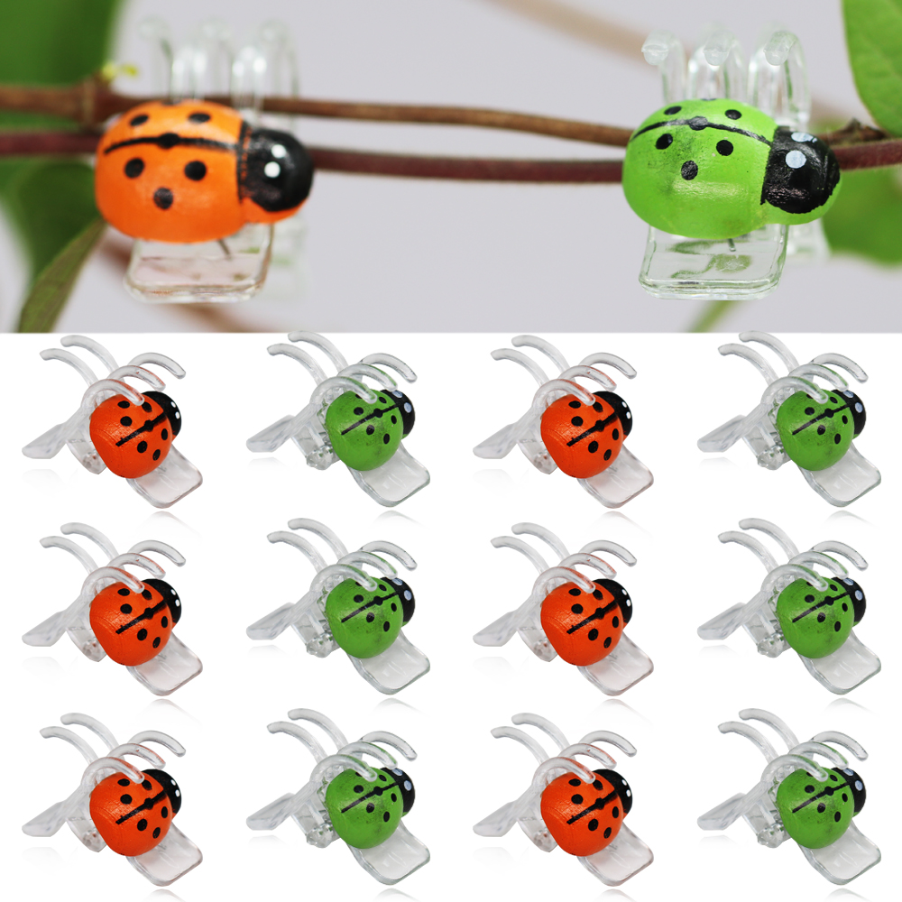 10-800PCS Ladybird Orchid Clip - Bonsai Garden Ornaments recensione e prezzo