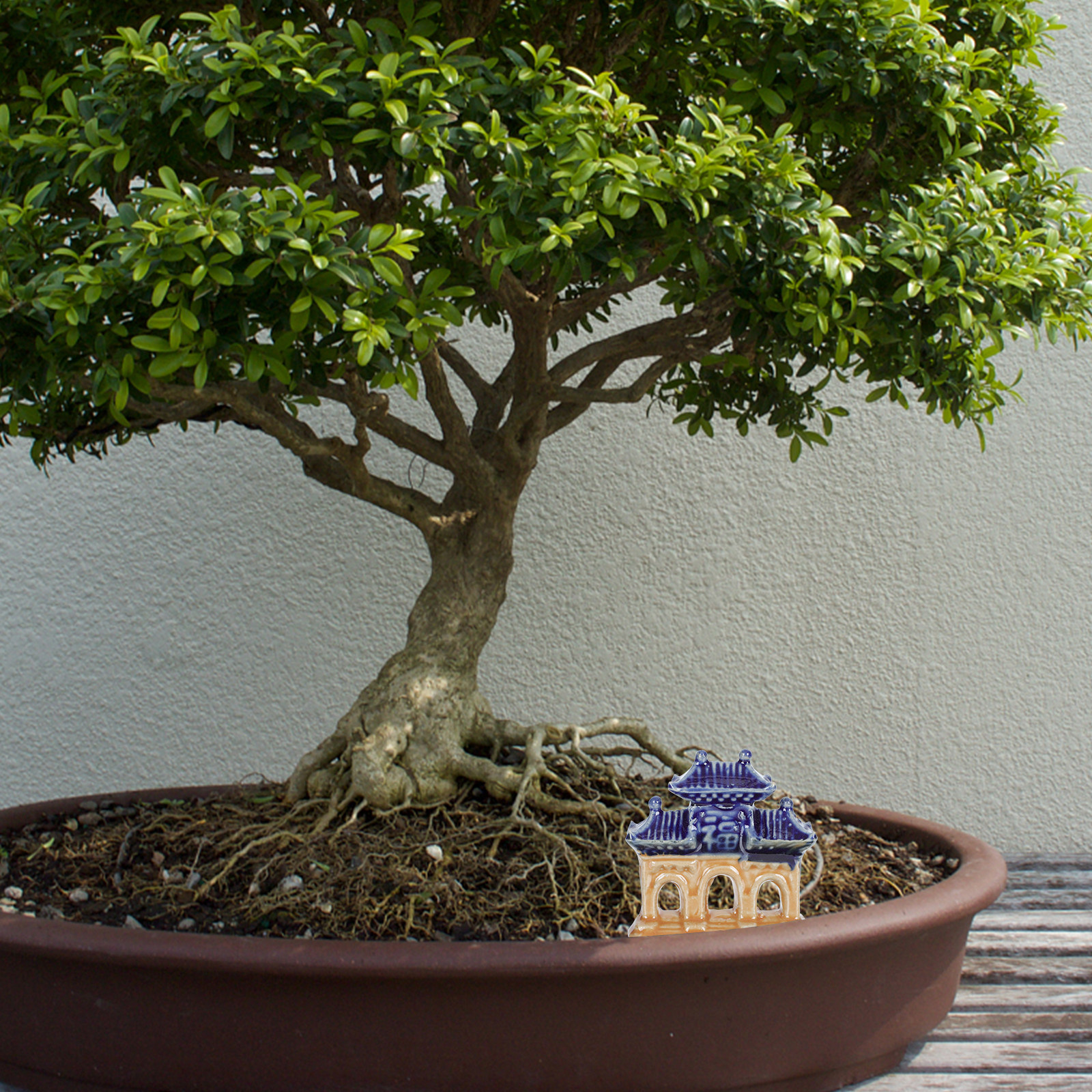 5Pcs Ceramic Pavilion Shape Or - Landscape Bonsai Garden recensione e prezzo