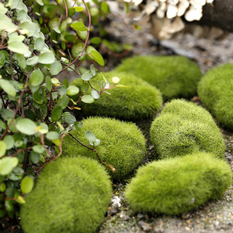4PCS 3cm/6cm/8cm/10cm Simulate - Landscape Bonsai Garden recensione e prezzo
