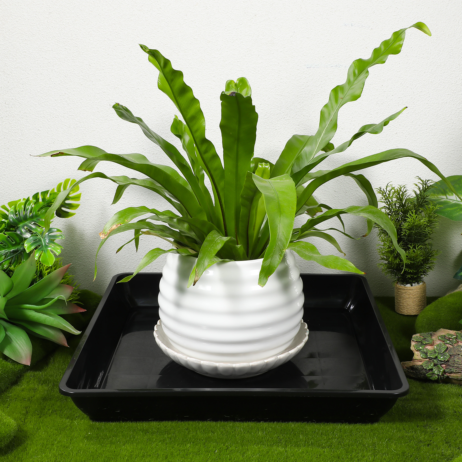 2pcs Flowerpot Saucer Plant Tr - Drip Tray Saucer recensione e prezzo