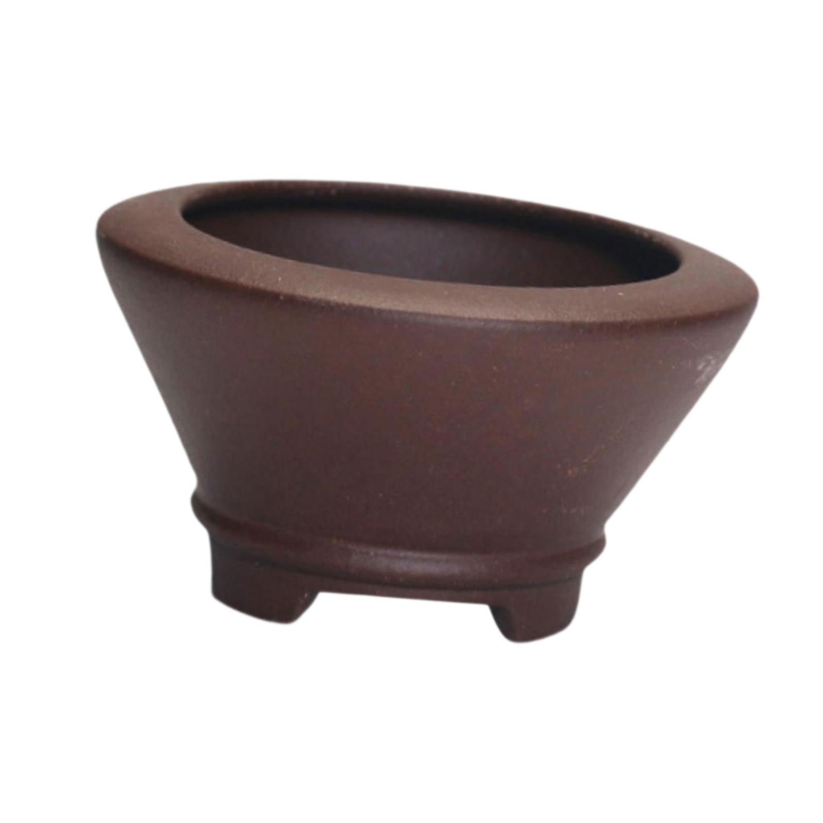 Elegant Purple Clay Bonsai Pot - Bonsai Garden Nursery recensione e prezzo