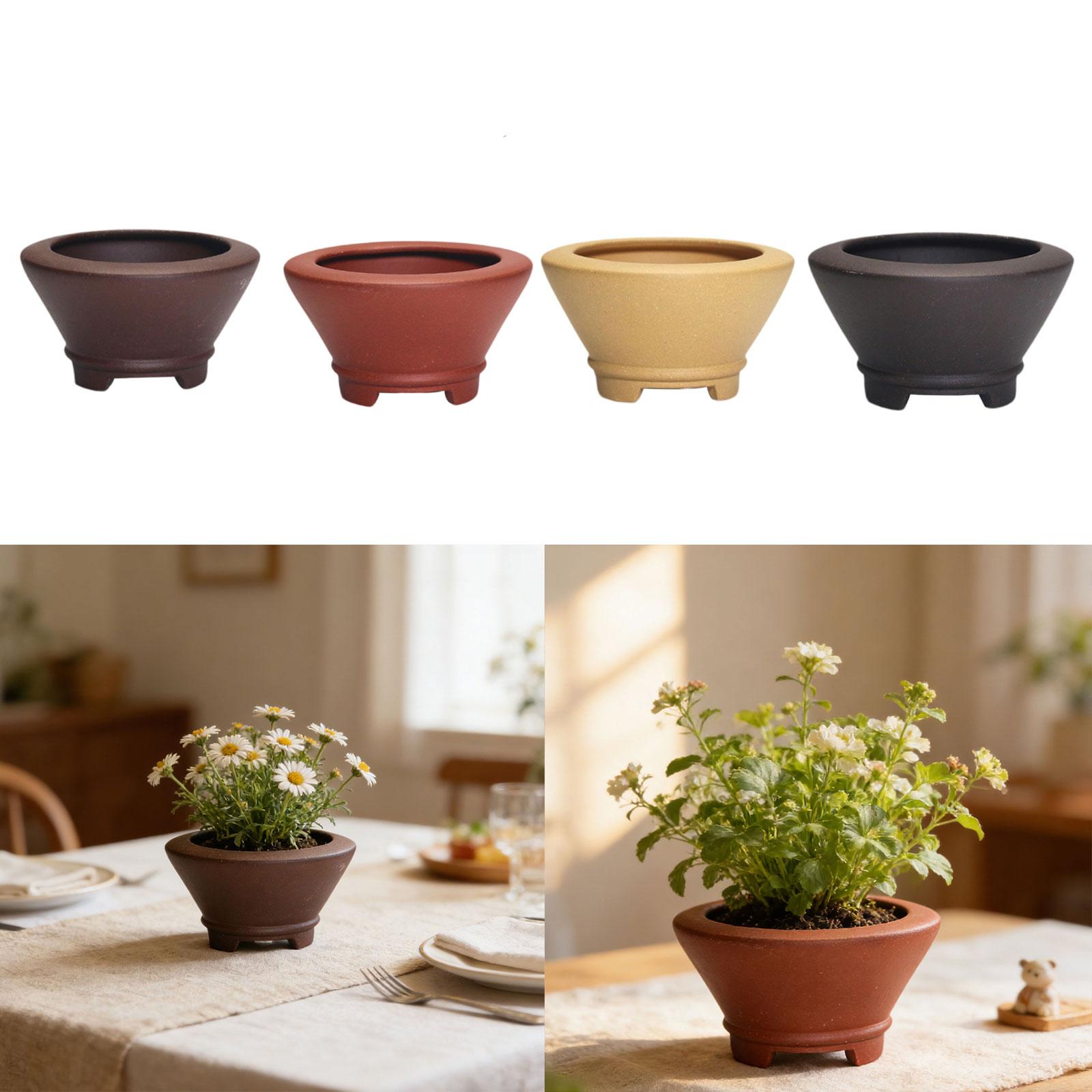 Elegant Purple Clay Bonsai Pot - Bonsai Garden Nursery recensione e prezzo