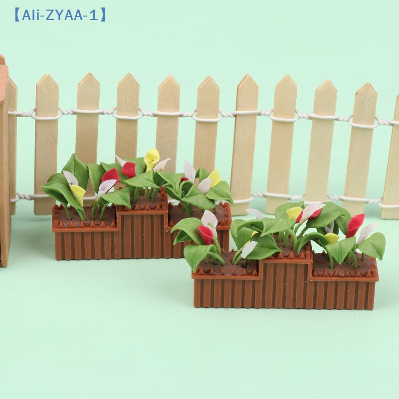 Miniature Calla Lily Potted Pl - Bonsai Garden House recensione e prezzo