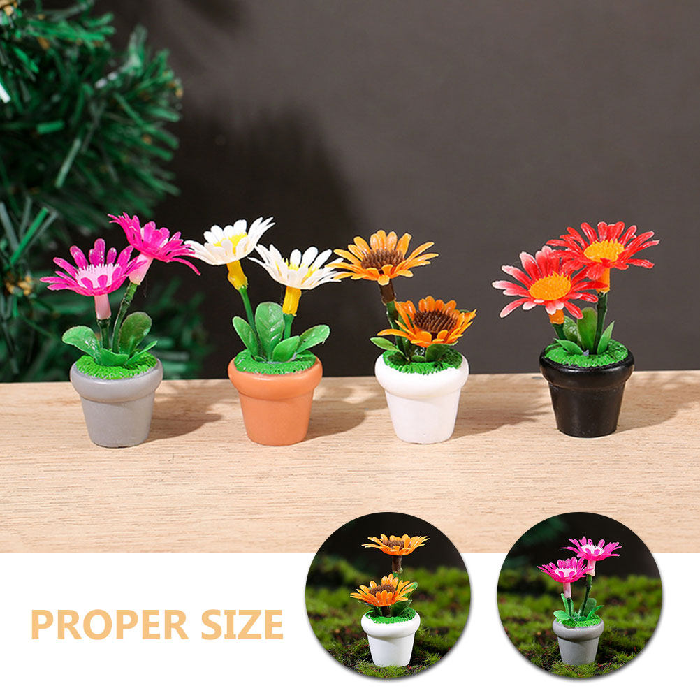4Pcs Mini Bonsai Plant Potted  - Bonsai Garden House recensione e prezzo