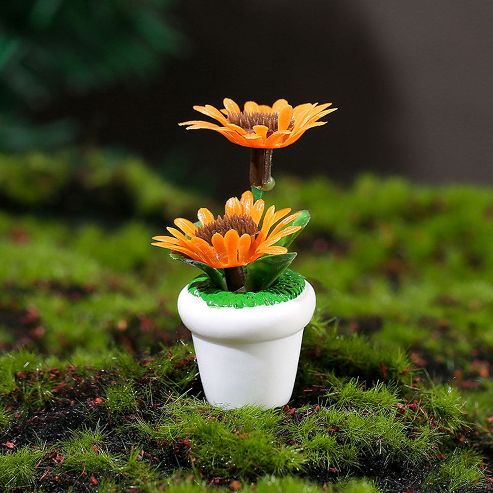 4Pcs Mini Bonsai Plant Potted  - Bonsai Garden House recensione e prezzo