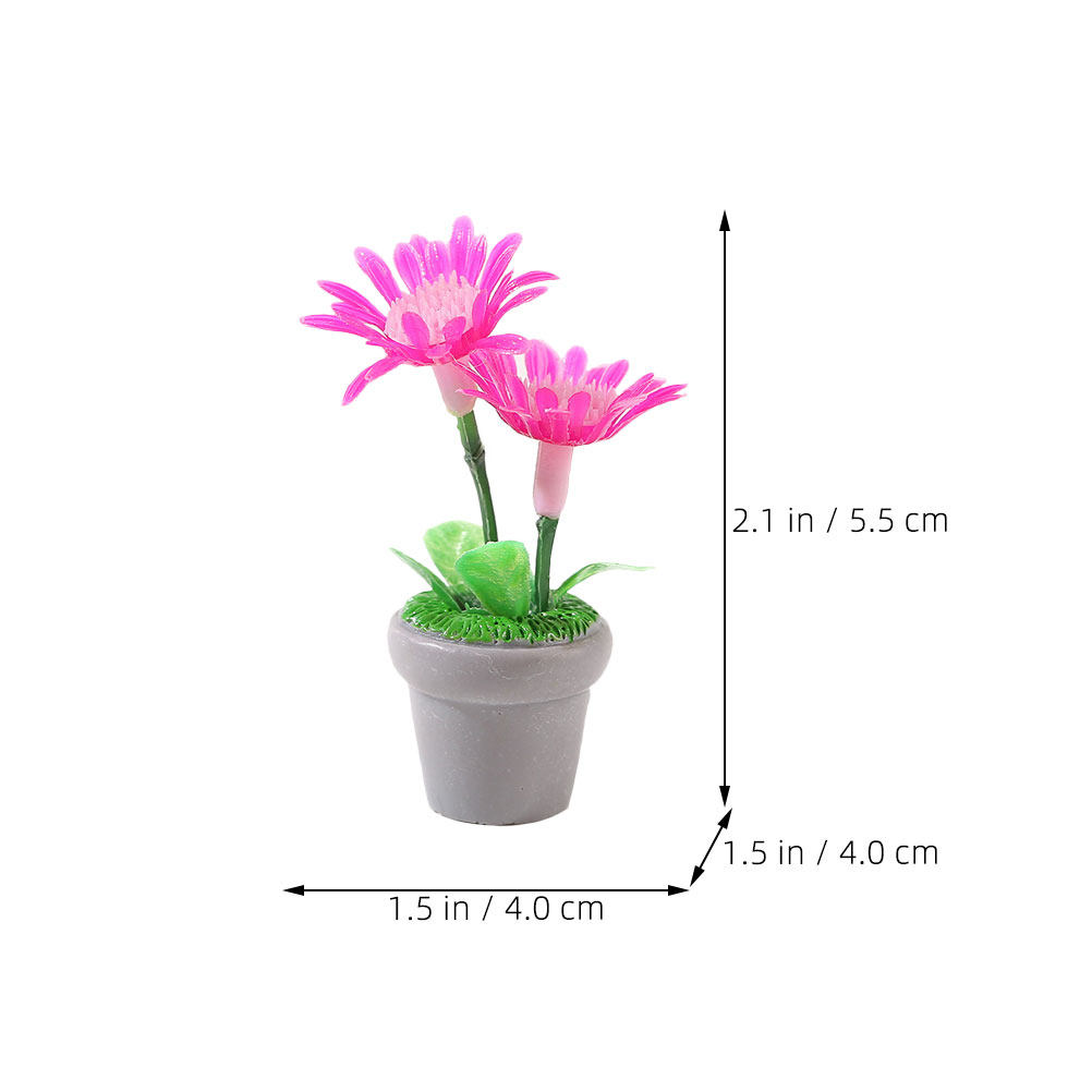 4Pcs Mini Bonsai Plant Potted  - Bonsai Garden House recensione e prezzo