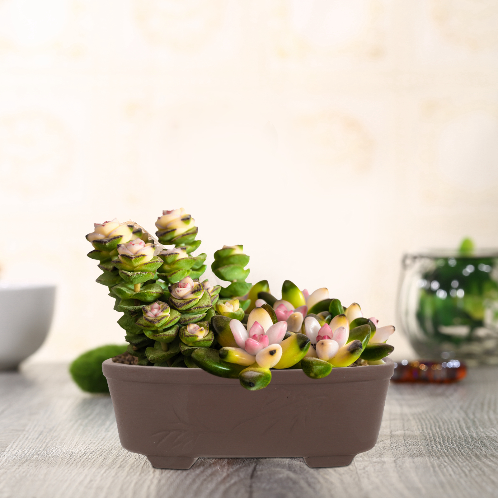 Handmade Vintage Style Clay Te - Bonsai Garden Nursery recensione e prezzo