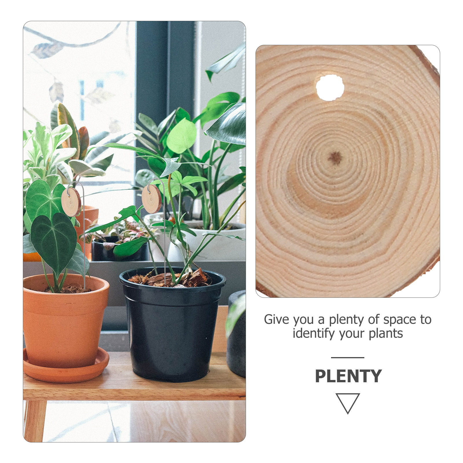 1Set Wooden Plant Label Stakes - Bonsai Garden Nursery recensione e prezzo