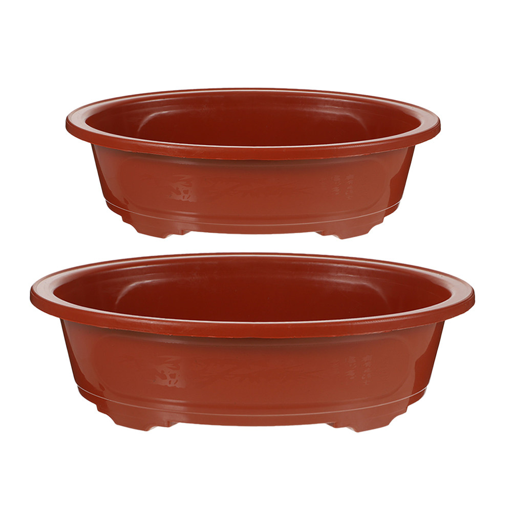 2Pcs Oval Shallow Bonsai Plant - Bonsai Garden Nursery recensione e prezzo
