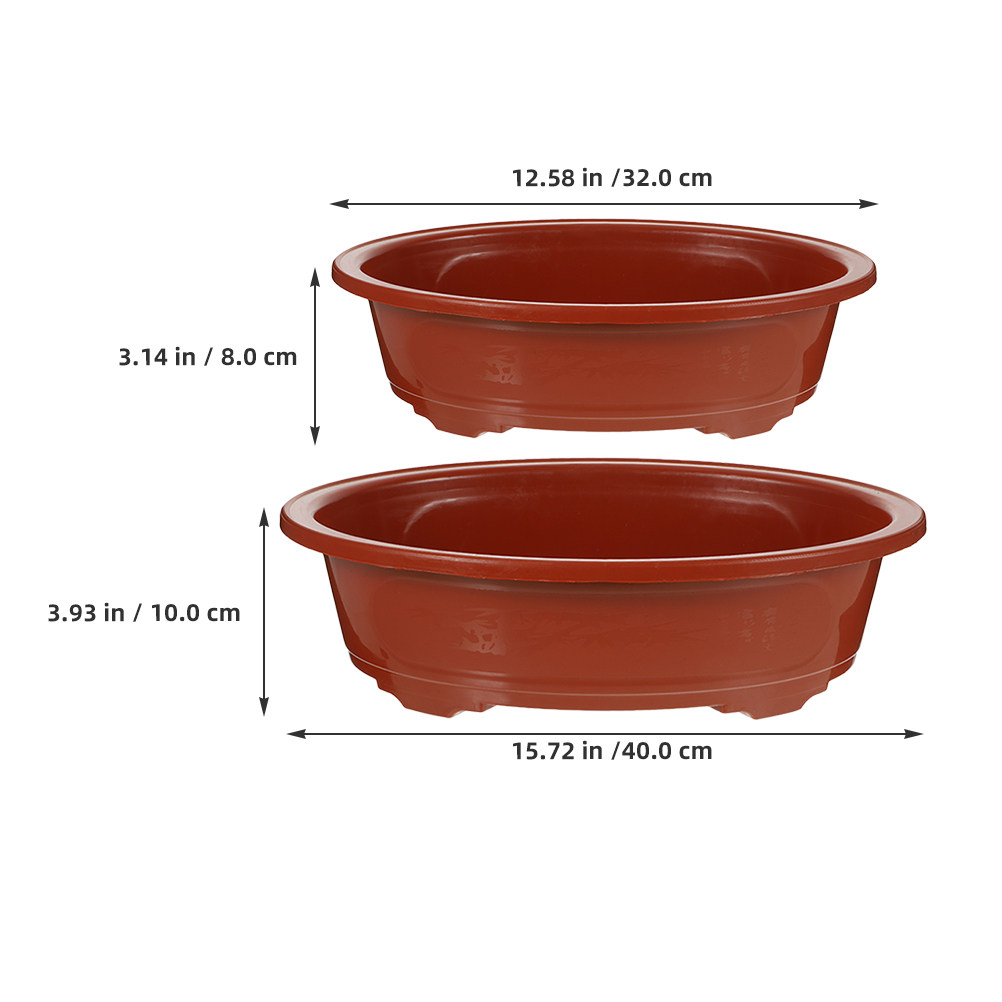 2Pcs Oval Shallow Bonsai Plant - Bonsai Garden Nursery recensione e prezzo