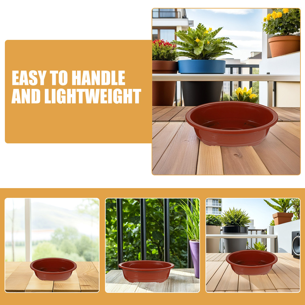 2Pcs Oval Shallow Bonsai Plant - Bonsai Garden Nursery recensione e prezzo