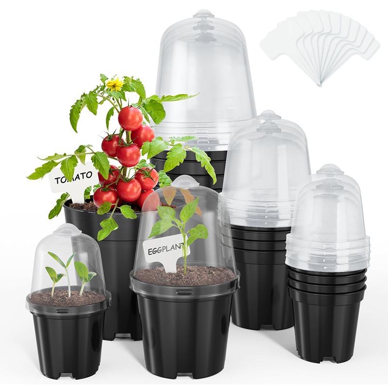 Nursery Pots Flowerpot Gardeni - Bonsai Garden Nursery recensione e prezzo