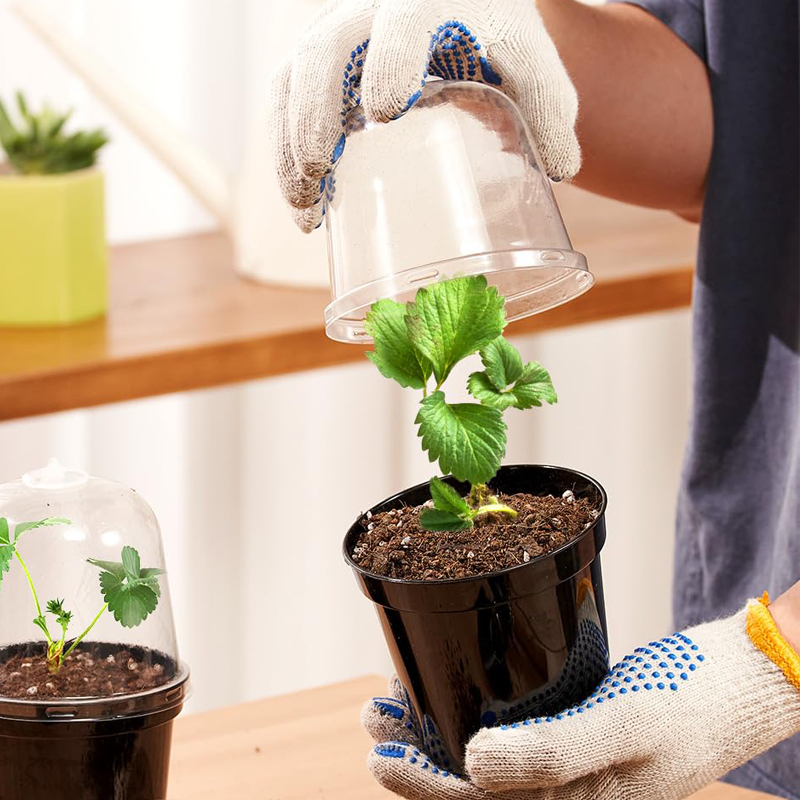 Nursery Pots Flowerpot Gardeni - Bonsai Garden Nursery recensione e prezzo