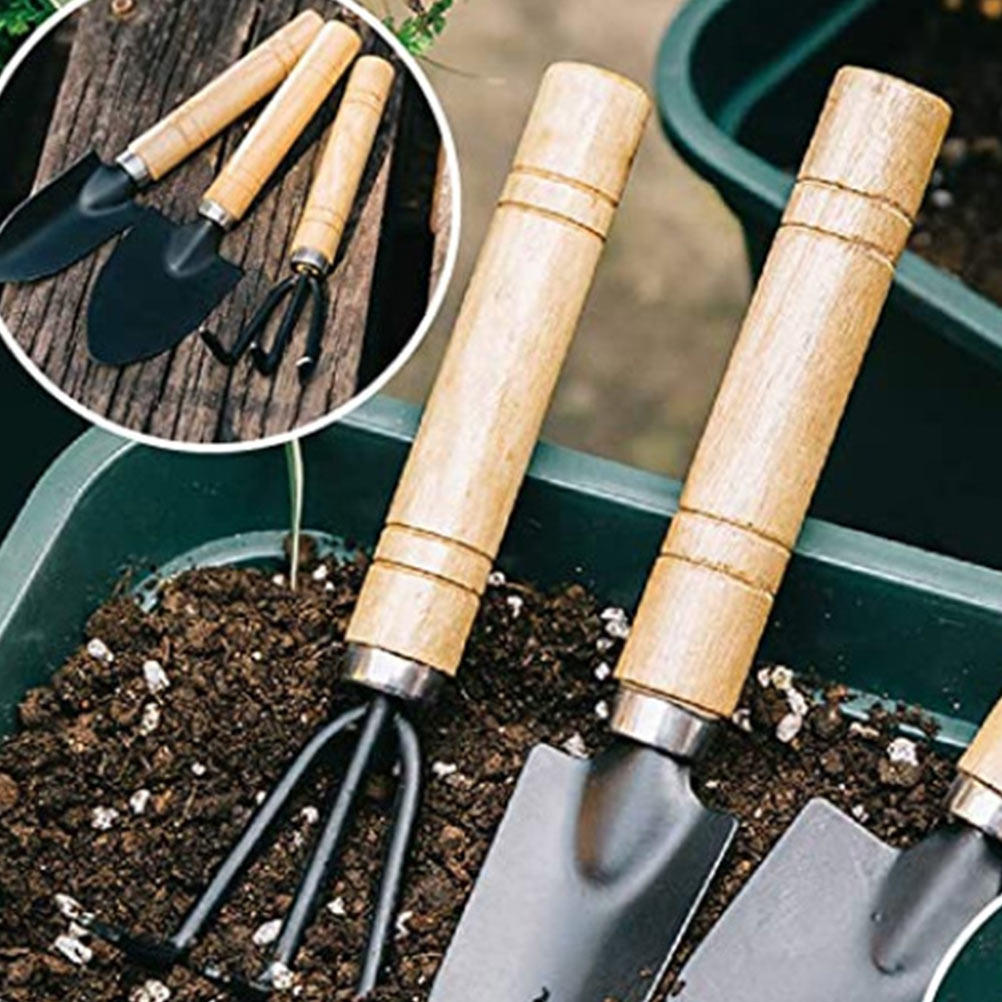 10Pcs Gardening Tools Set with - Bonsai Garden Grow Kit recensione e prezzo