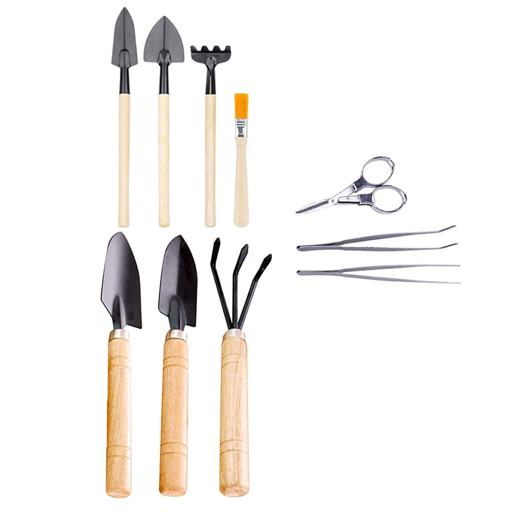 10Pcs Gardening Tools Set with - Bonsai Garden Grow Kit recensione e prezzo
