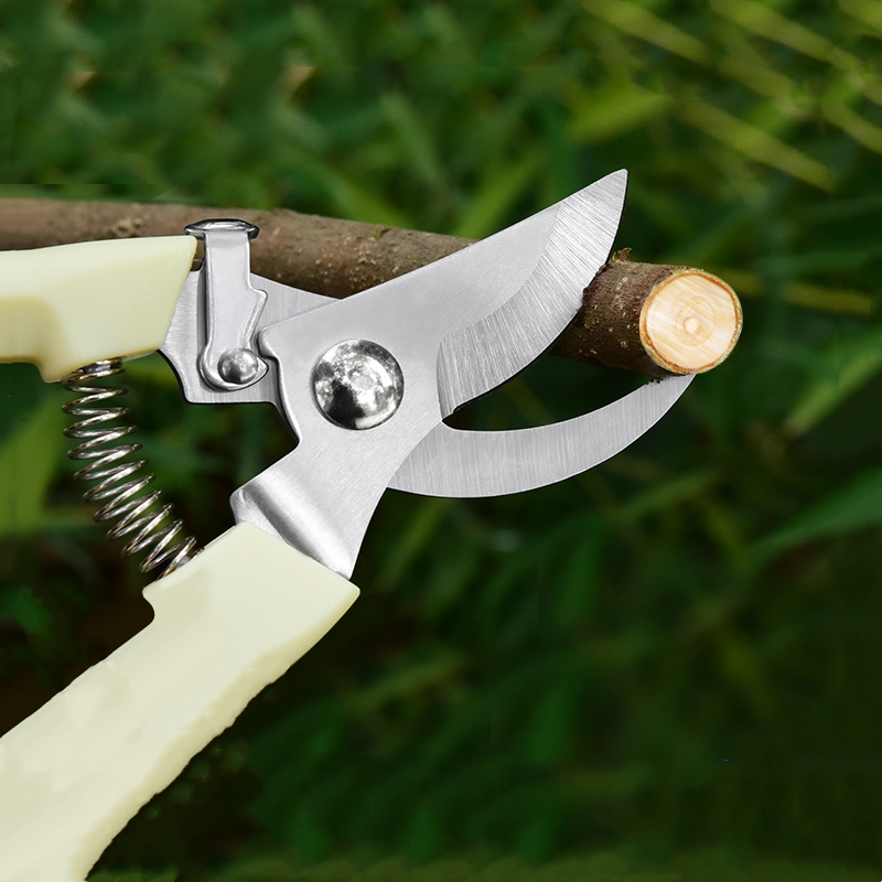 Pruner Orchard and The Garden  - Bonsai Gardener recensione e prezzo