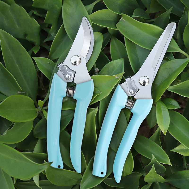 Pruner Orchard and The Garden  - Bonsai Gardener recensione e prezzo