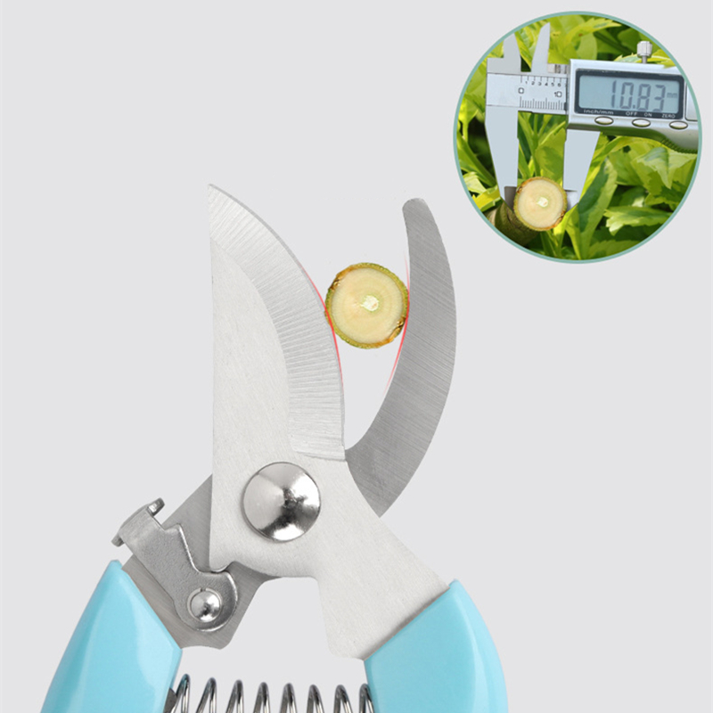 Pruner Orchard and The Garden  - Bonsai Gardener recensione e prezzo