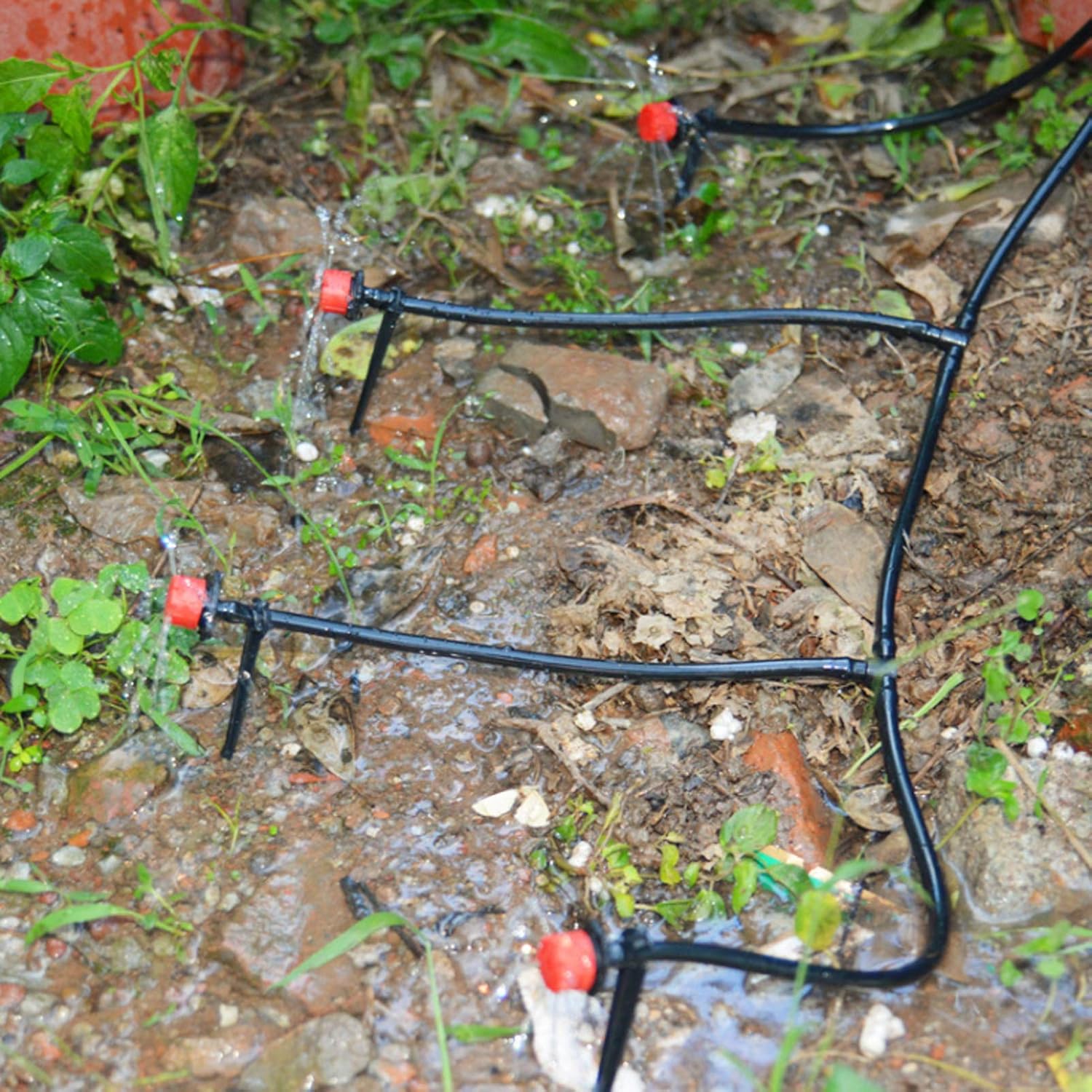 Garden Watering Hose Drip Irri - Bonsai Garden Youtube recensione e prezzo