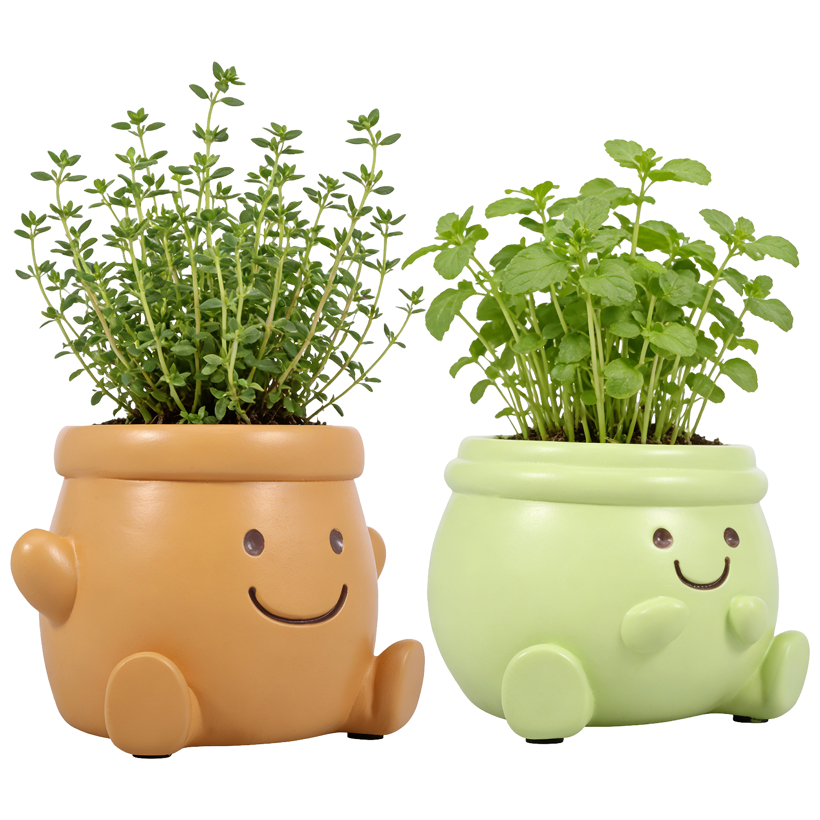 2Pcs Face Plant Pot Smile Succ - Bonsai Garden Nursery recensione e prezzo
