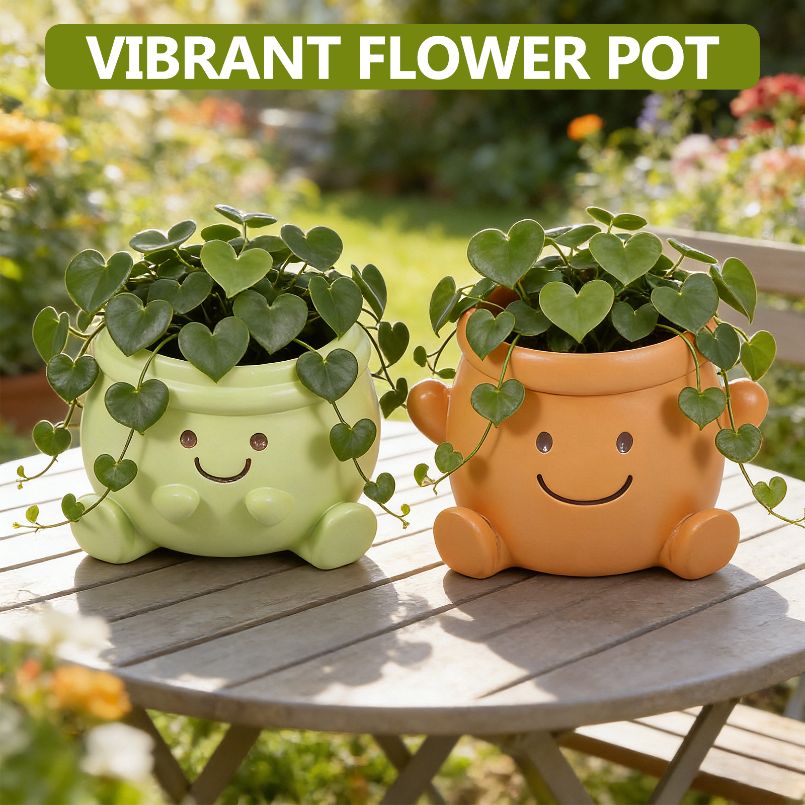 2Pcs Face Plant Pot Smile Succ - Bonsai Garden Nursery recensione e prezzo