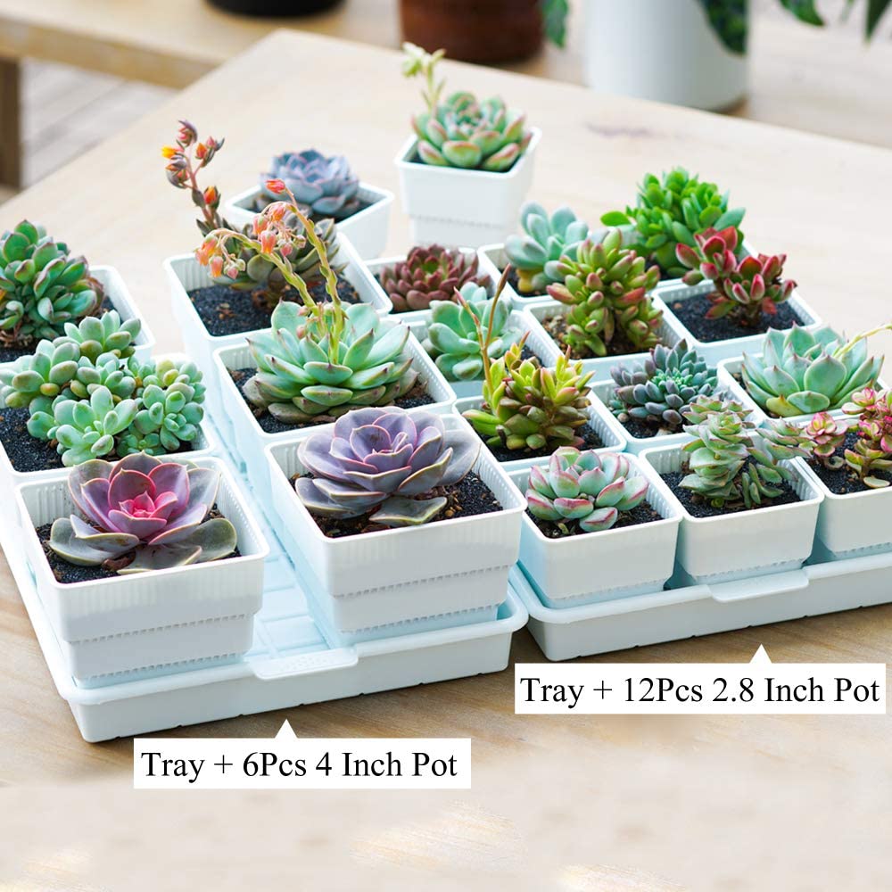 Meshpot Square Plastic Basin T - Drip Tray Saucer recensione e prezzo
