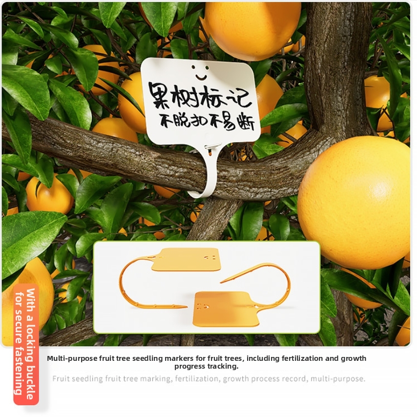 500PCS Garden Plant Labels Mar - Bonsai Garden Ticket recensione e prezzo