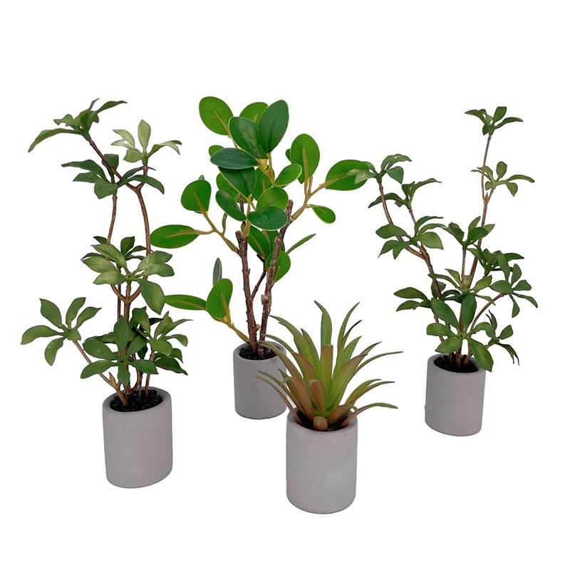 1:6 Dollhouse Miniature Potted - Bonsai Garden House recensione e prezzo