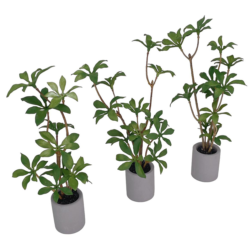 1:6 Dollhouse Miniature Potted - Bonsai Garden House recensione e prezzo