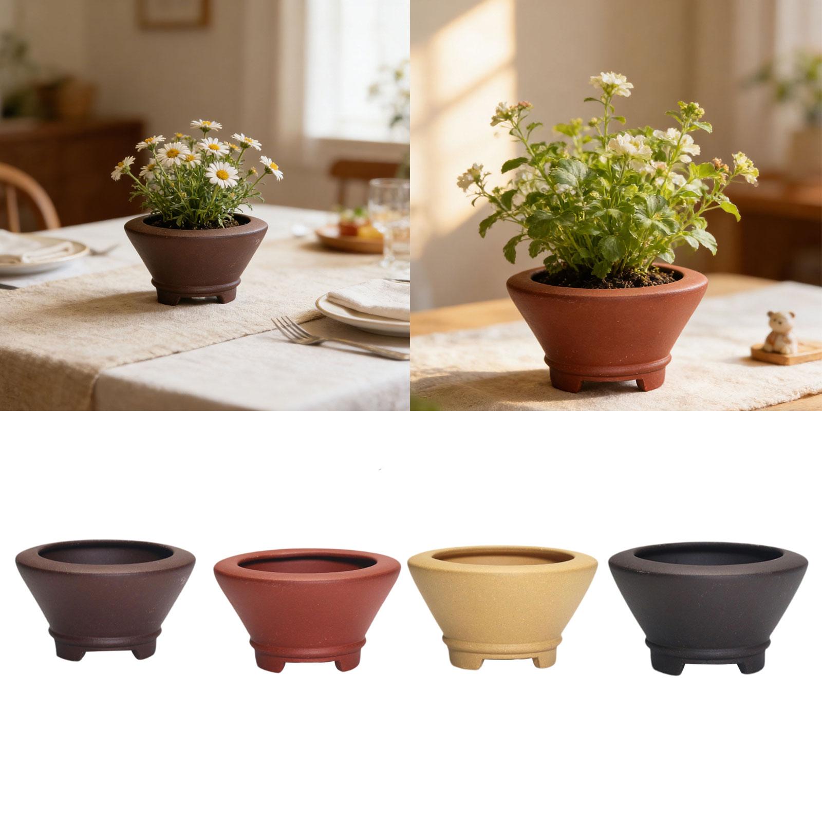 Bonsai Pot with Drainage Holes - Bonsai Garden Nursery recensione e prezzo