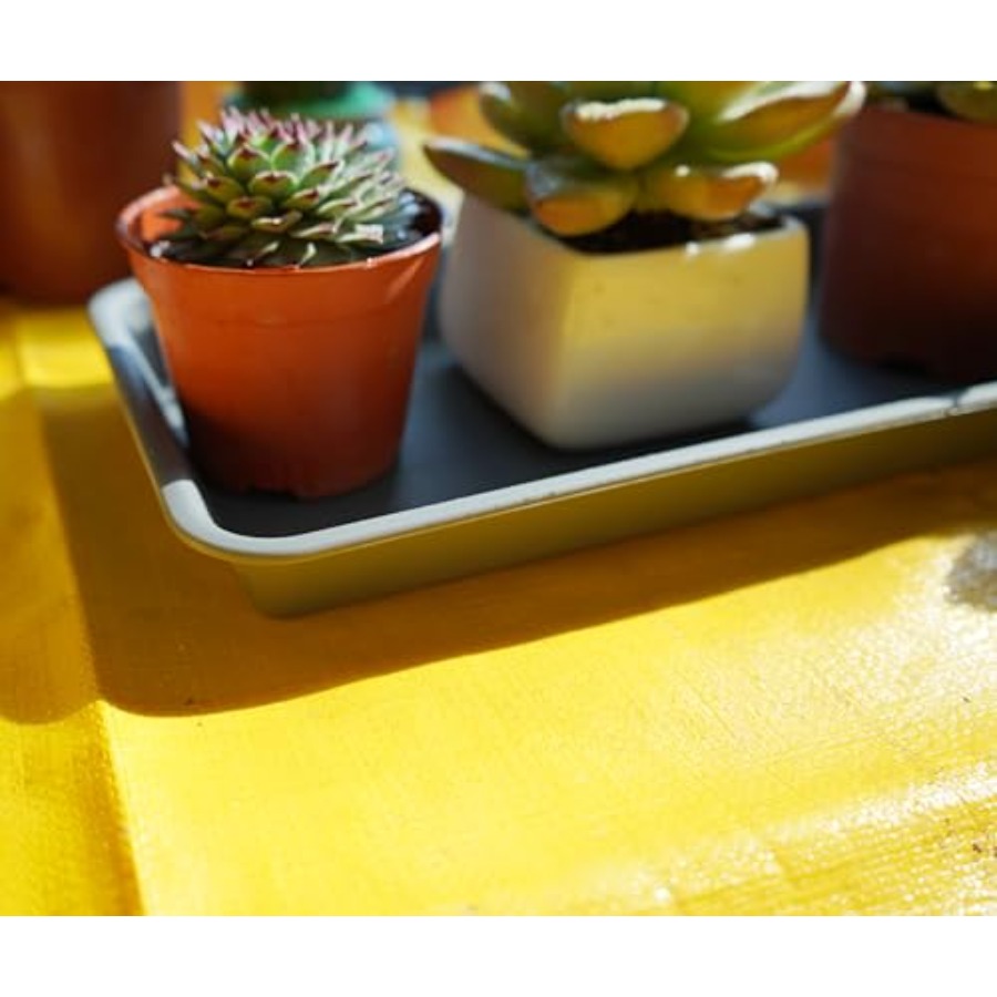 2 Pack of Plastic Plant Tray S - Drip Tray Saucer recensione e prezzo