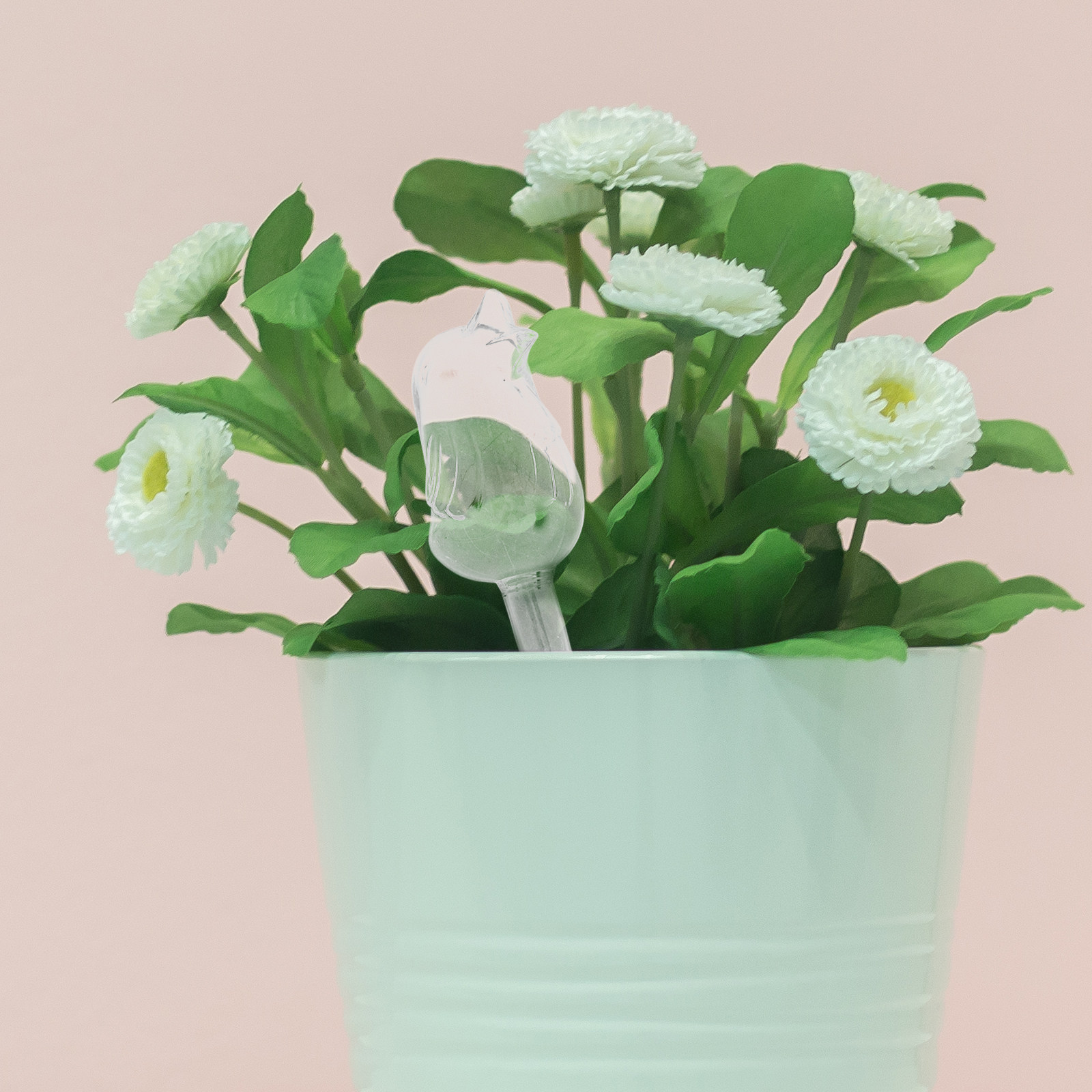 Glass Self-Watering Globes Aut - Bonsai Gardener recensione e prezzo