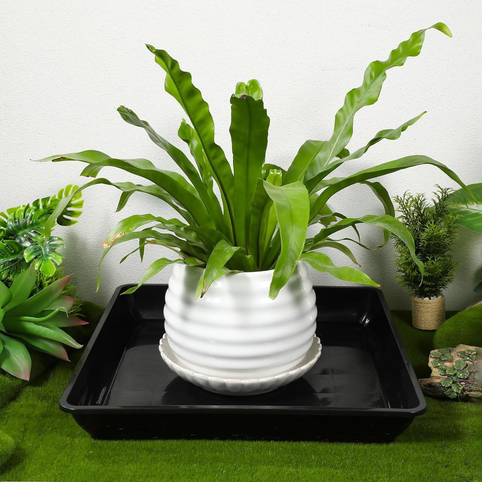 2 Pcs Flower Pot Base Thickene - Drip Tray Saucer recensione e prezzo