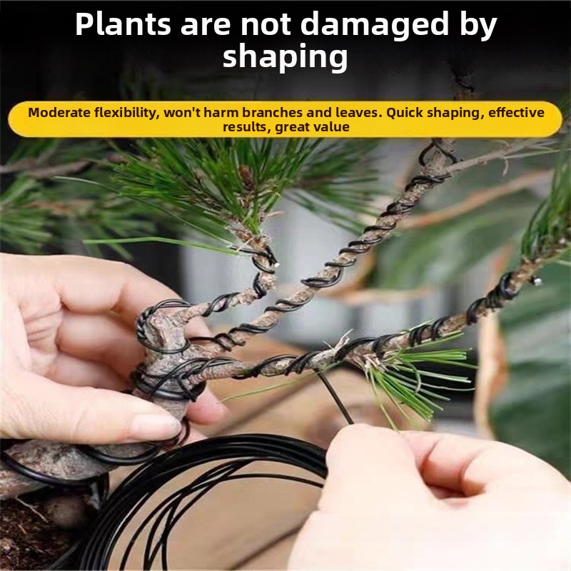 1.5MM Bonsai Wires Aluminum Bo - Bonsai Gardener recensione e prezzo