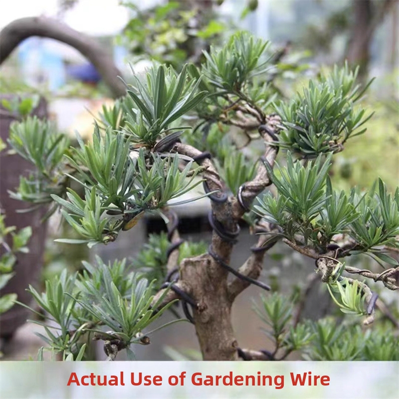 1.5MM Bonsai Wires Aluminum Bo - Bonsai Gardener recensione e prezzo