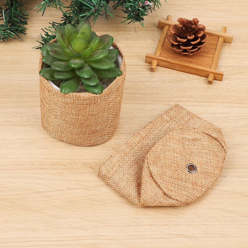 Bonsai Tree Kit Mini Succulent - Bonsai Garden Grow Kit recensione e prezzo
