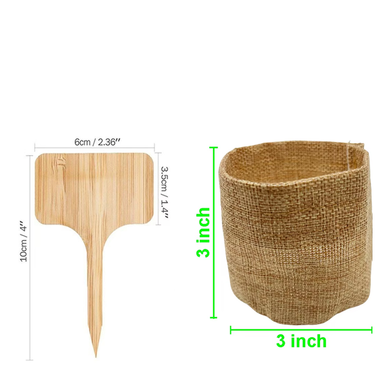 Bonsai Tree Kit Mini Succulent - Bonsai Garden Grow Kit recensione e prezzo